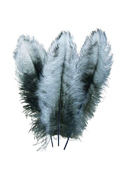 Grey Feathers a minimalist digital print of three grey feathers on a white background
