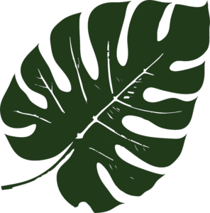a digital print of a green tropical leaf