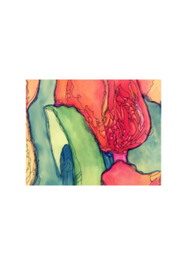 a vibrant and colorful closeup of a line drawn tulip and floral arrangement